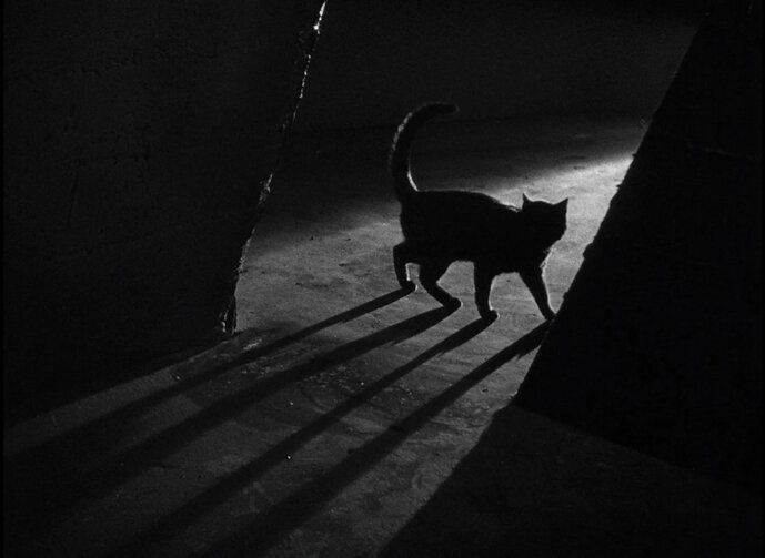 Ausschnitt: The Black Cat, 1934