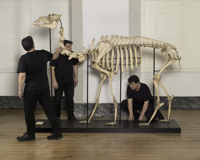 João Tabarra, „Masque sous camouflage“ (2016/17)