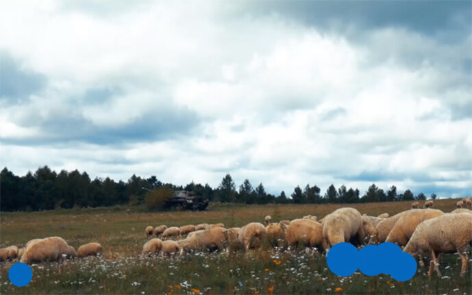 Videostill aus der Ausstellung „Preeancting Reenactments" von Langenfelder & Lichtenberg