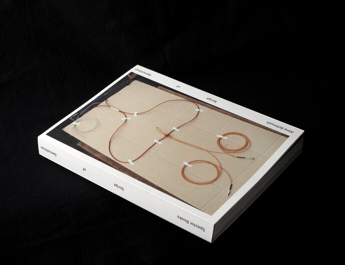 Alina Schmuch: Script of Demolition (2014)