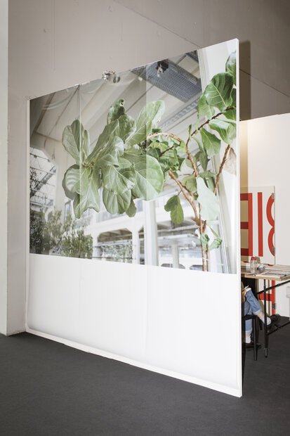 Photography by Philip Lawall