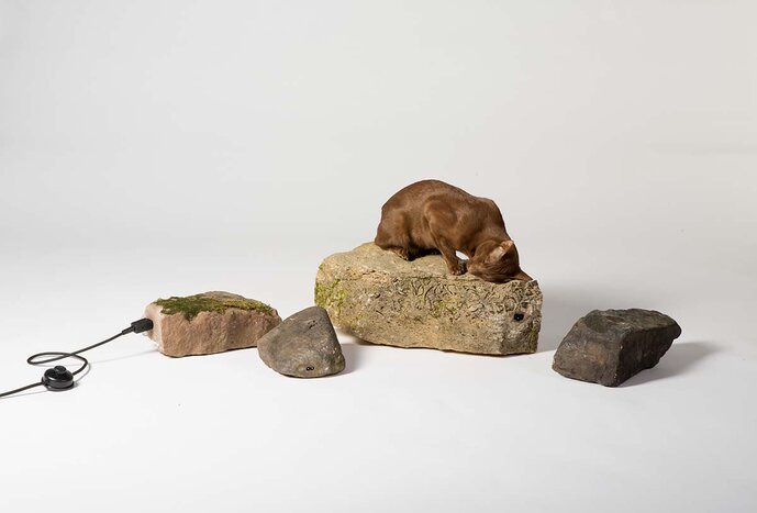 „Eine ästhetische Gesteinsanprache“ von Pia Matthes