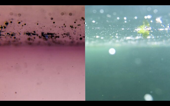 Isabella Münnich, “Sensing Underware” (2019), video, audio, interactive installation