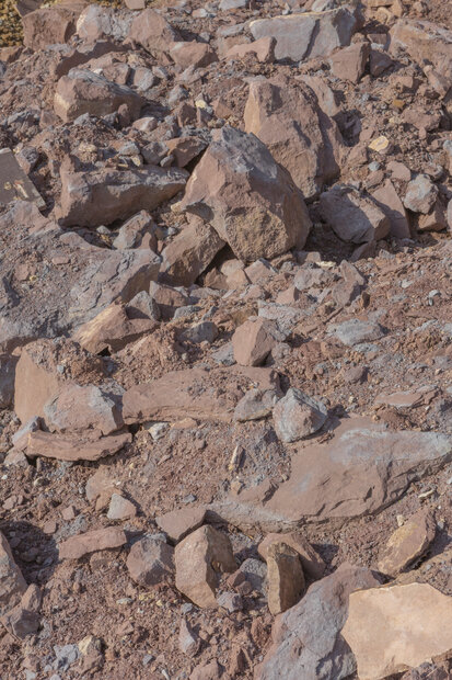 Besuch des Steinbruchs Dennig im Pfinztal bei Karlsruhe