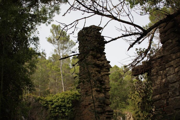 Picture by Óscar Holloway for "sabaiza(ezprogui)", a residency curated by ezprogui (https://ezprogui.com).