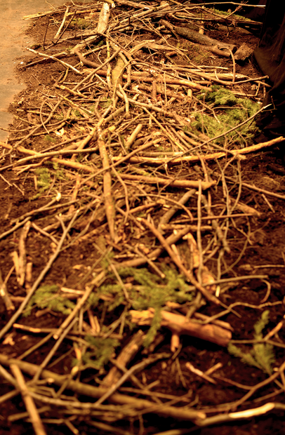 Arbeit von Dario Schmid