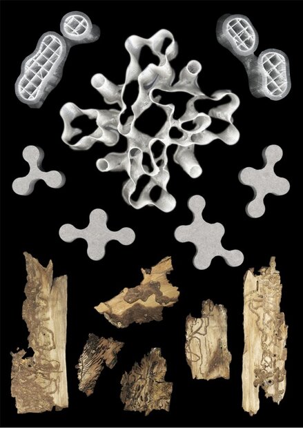 Lisa Ertel, The Evolution of Superlatives